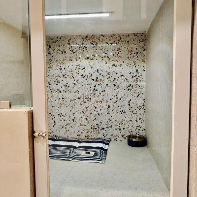 Medium to Large Boarding Room